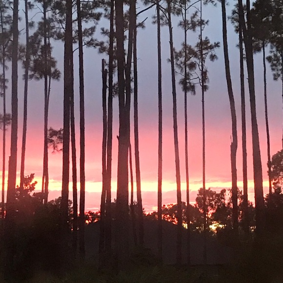 Meet your Posher, Kaitlyn - Picture 1 of 1